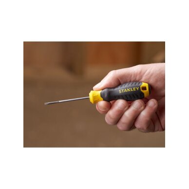 Atsuktuvas plokščias 2,5 x 60mm 3