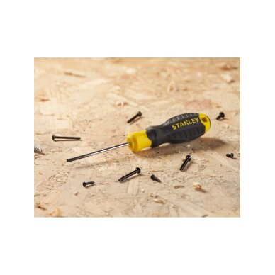 Atsuktuvas plokščias 2,5 x 60mm Atsuktuvas plokščias 2,5 x 60mm