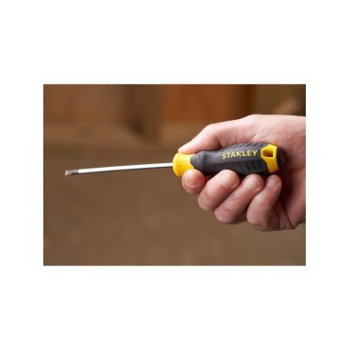 Atsuktuvas plokščias 4 x 100mm 1