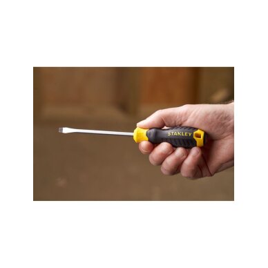 Atsuktuvas plokščias 5,5 x 100mm 6