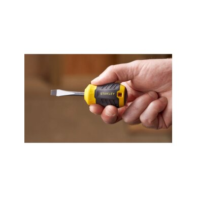 Atsuktuvas plokščias 6,5 x 45mm 4 Atsuktuvas plokščias 6,5 x 45mm 4