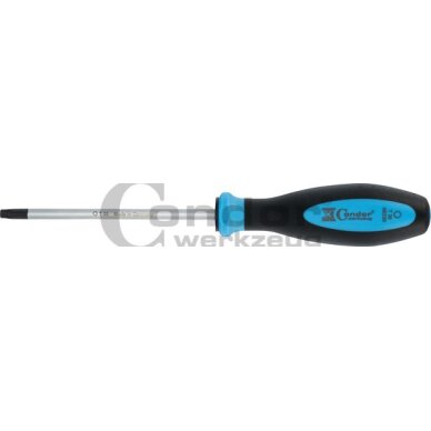 Atsuktuvas profi CV T30x115 mm