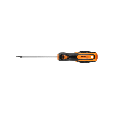 Atsuktuvas Torx T10x100mm