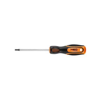 Atsuktuvas Torx T25x100mm