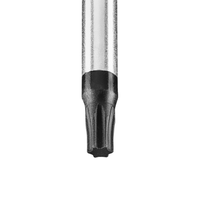 Atsuktuvas Torx T27x100mm 4