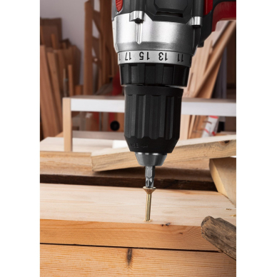 Atsuktuvo antgaliai PZ2 x 25 mm, 100 vnt. 4 Atsuktuvo antgaliai PZ2 x 25 mm, 100 vnt. 4