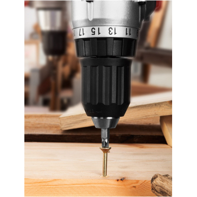 Atsuktuvo antgaliai PZ2 x 25 mm, 100 vnt. 5 Atsuktuvo antgaliai PZ2 x 25 mm, 100 vnt. 5