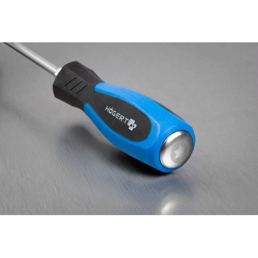 Atsuktuvas prailgintas TORX T20x450mm 1