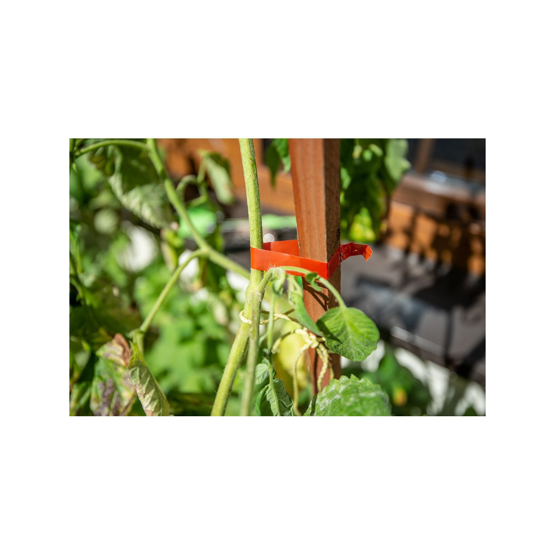 Augalų atramos, 25 m ilgio juostos ir sąvaržų rinkinys 1