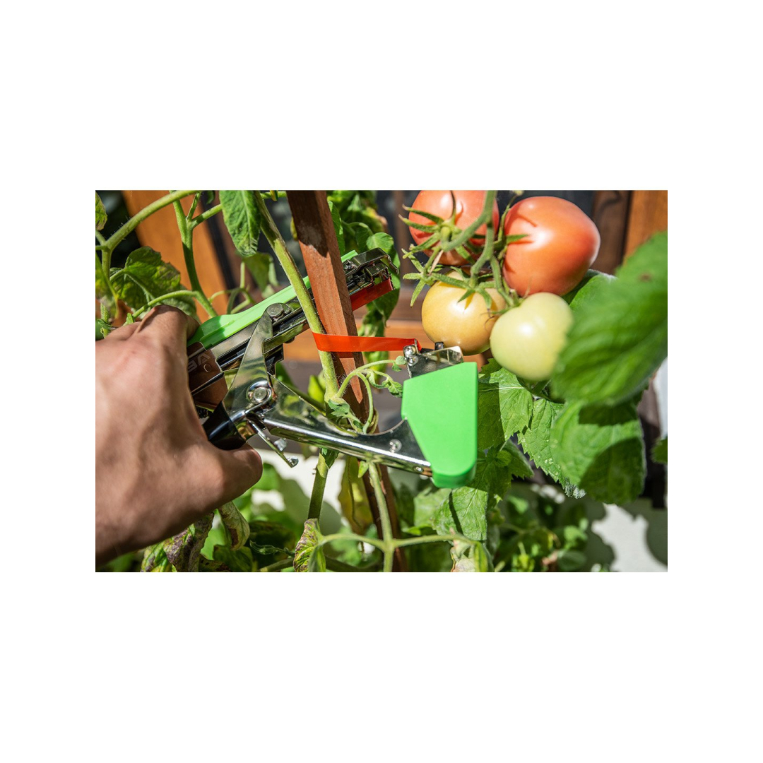 Augalų atramos, 25 m ilgio juostos ir sąvaržų rinkinys 4