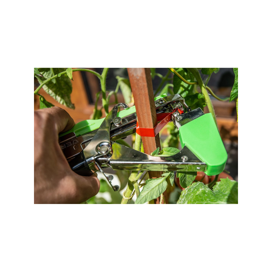 Augalų atramos, 25 m ilgio juostos ir sąvaržų rinkinys 5