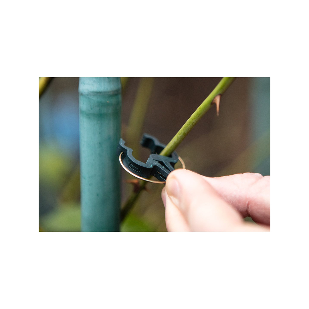 Augalų fiksavimo spaustukų rinkinys iš 20 vienetų-10 mažų ir 10 didelių 1 Augalų fiksavimo spaustukų rinkinys iš 20 vienetų-10 mažų ir 10 didelių 1