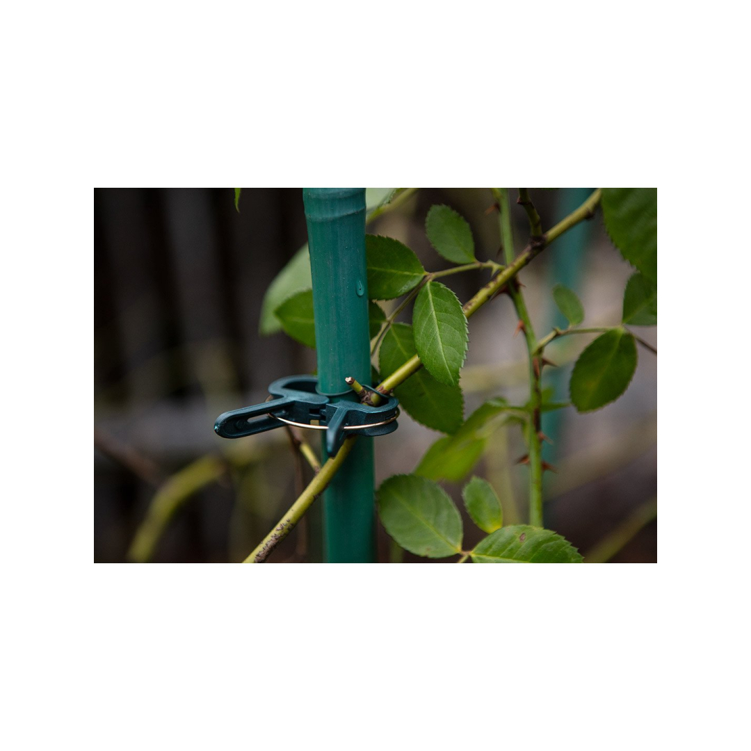 Augalų fiksavimo spaustukų rinkinys iš 20 vienetų-10 mažų ir 10 didelių 2