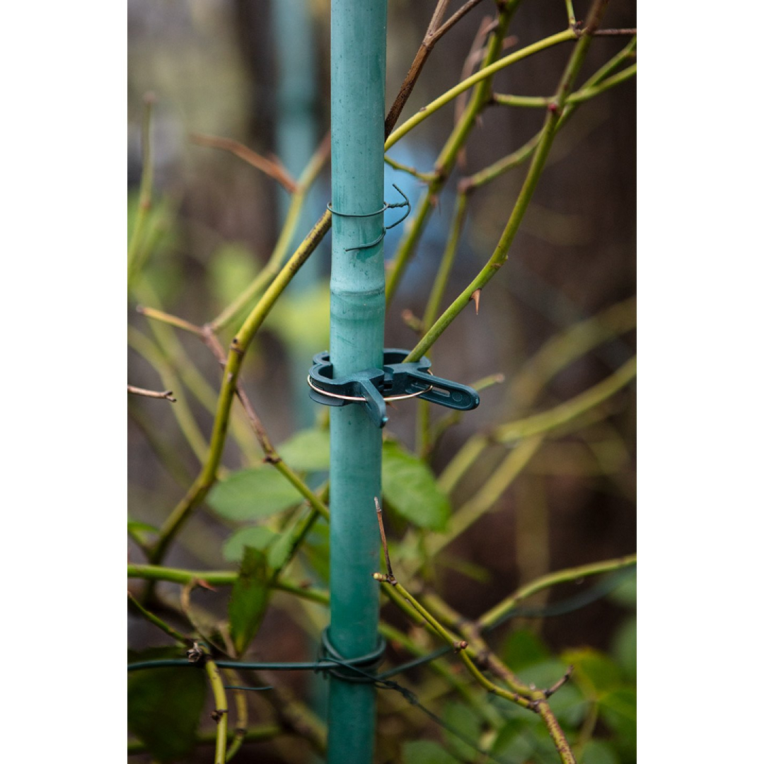 Augalų fiksavimo spaustukų rinkinys iš 20 vienetų-10 mažų ir 10 didelių 3 Augalų fiksavimo spaustukų rinkinys iš 20 vienetų-10 mažų ir 10 didelių 3