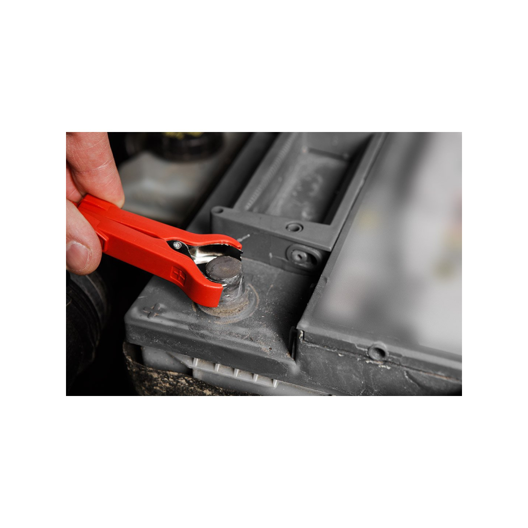 Automatinis lygintuvas 6A/100W, 3-150Ah, rūgštiniams / AGM / GEL 4