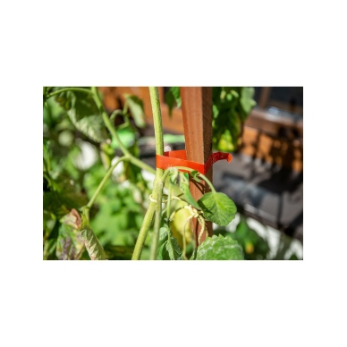 Augalų atramos, 25 m ilgio juostos ir sąvaržų rinkinys 1 Augalų atramos, 25 m ilgio juostos ir sąvaržų rinkinys 1