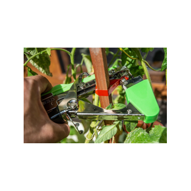 Augalų atramos, 25 m ilgio juostos ir sąvaržų rinkinys 5