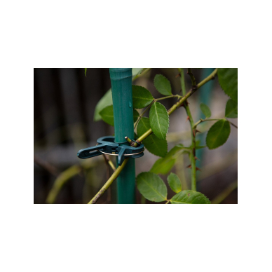 Augalų fiksavimo spaustukų rinkinys iš 20 vienetų-10 mažų ir 10 didelių 2 Augalų fiksavimo spaustukų rinkinys iš 20 vienetų-10 mažų ir 10 didelių 2