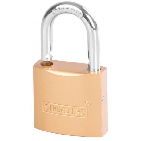 Aukso spalvos spyna 38 mm