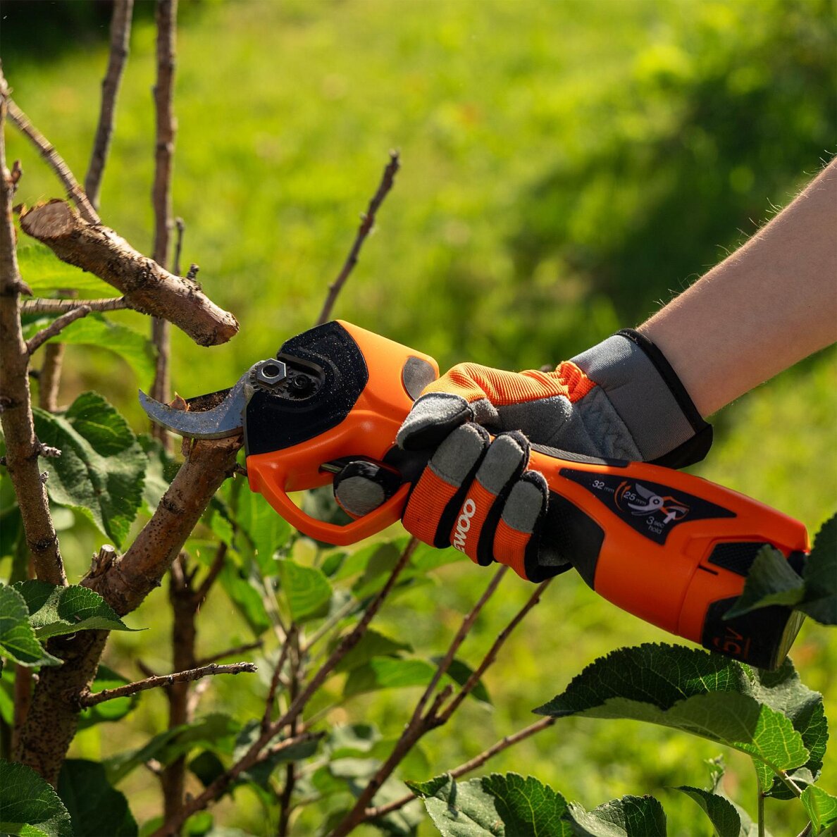 Akumuliatorinis genėtuvas DAEWOO DAGP 3216Li SET, 16V, 3.0 Ah, 32mm 13