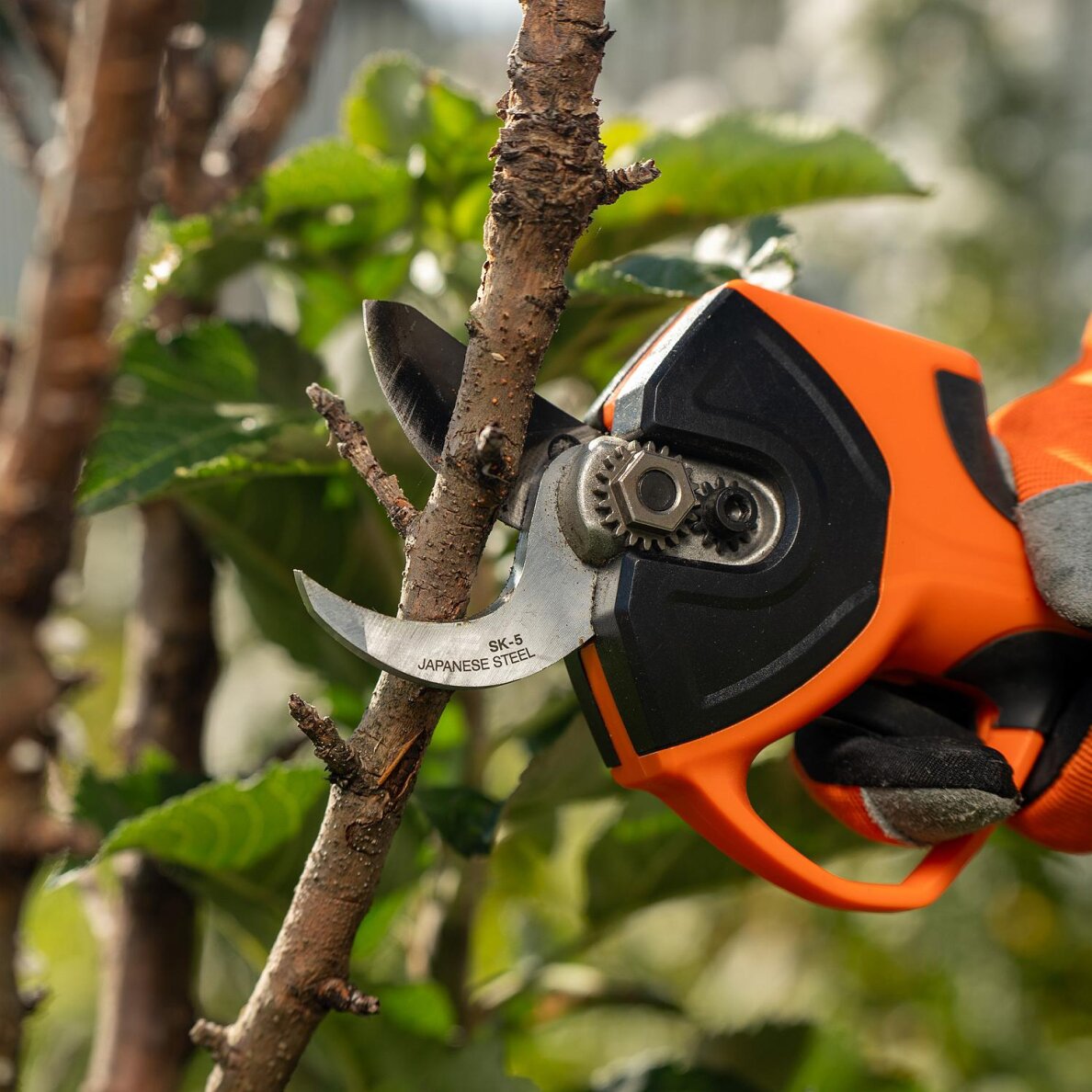 Akumuliatorinis genėtuvas DAEWOO DAGP 3216Li SET, 16V, 3.0 Ah, 32mm 14