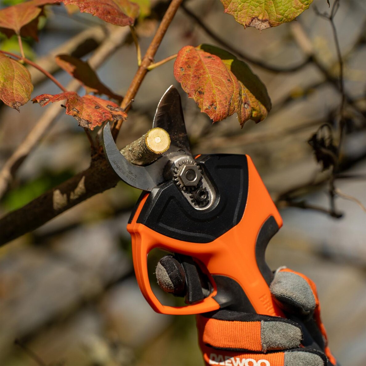 Akumuliatorinis genėtuvas DAEWOO DAGP 3216Li SET, 16V, 3.0 Ah, 32mm 15