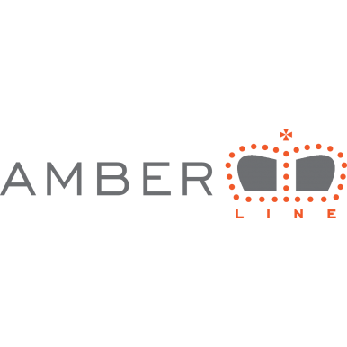 Benzininis grandininis pjūklas AMBER-LINE C-CLASS C-451, 2.5 KW 3 Benzininis grandininis pjūklas AMBER-LINE C-CLASS C-451, 2.5 KW 3