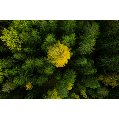 Belaidis vejos robotas Husqvarna Automower® 310E NERA, 15 arų 17 Belaidis vejos robotas Husqvarna Automower® 310E NERA, 15 arų 17