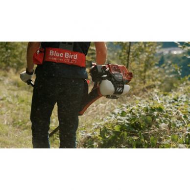 Benzininė krūmapjovė Blue Bird BC 610 ST PRO, 2.8 kW 1 Benzininė krūmapjovė Blue Bird BC 610 ST PRO, 2.8 kW 1