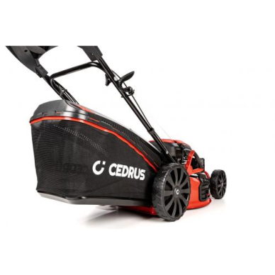 Benzininė vejapjovė Cedrus KS53S 4.2 kW 3