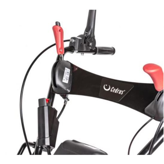 Benzininė šlavimo mašina Cedrus ZM05PRO-E, 100 cm 8 Benzininė šlavimo mašina Cedrus ZM05PRO-E, 100 cm 8