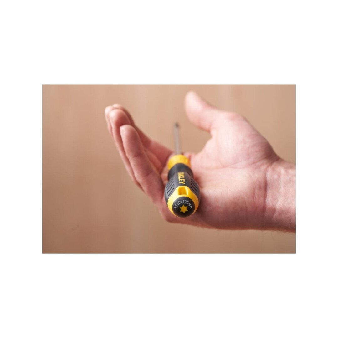 C/GRIP S/D Atsuktuvas TORX TT20 X 100mm 6