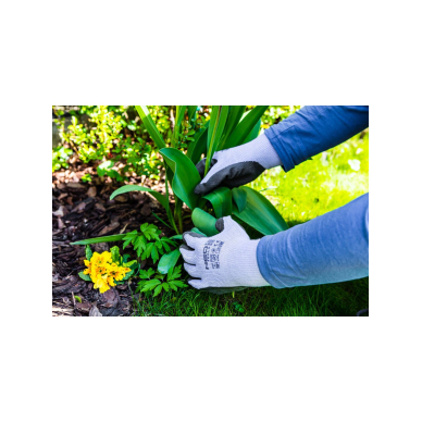 Darbo pirštinės, medvilninės, padengtos lateksu ir poliesteriu, 2143X, 8 dydis 3