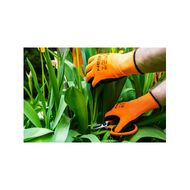 Darbo pirštinės, poliesteris su nitrilo danga (smėlio spalvos), 4131X, 8 dydis 2 Darbo pirštinės, poliesteris su nitrilo danga (smėlio spalvos), 4131X, 8 dydis 2