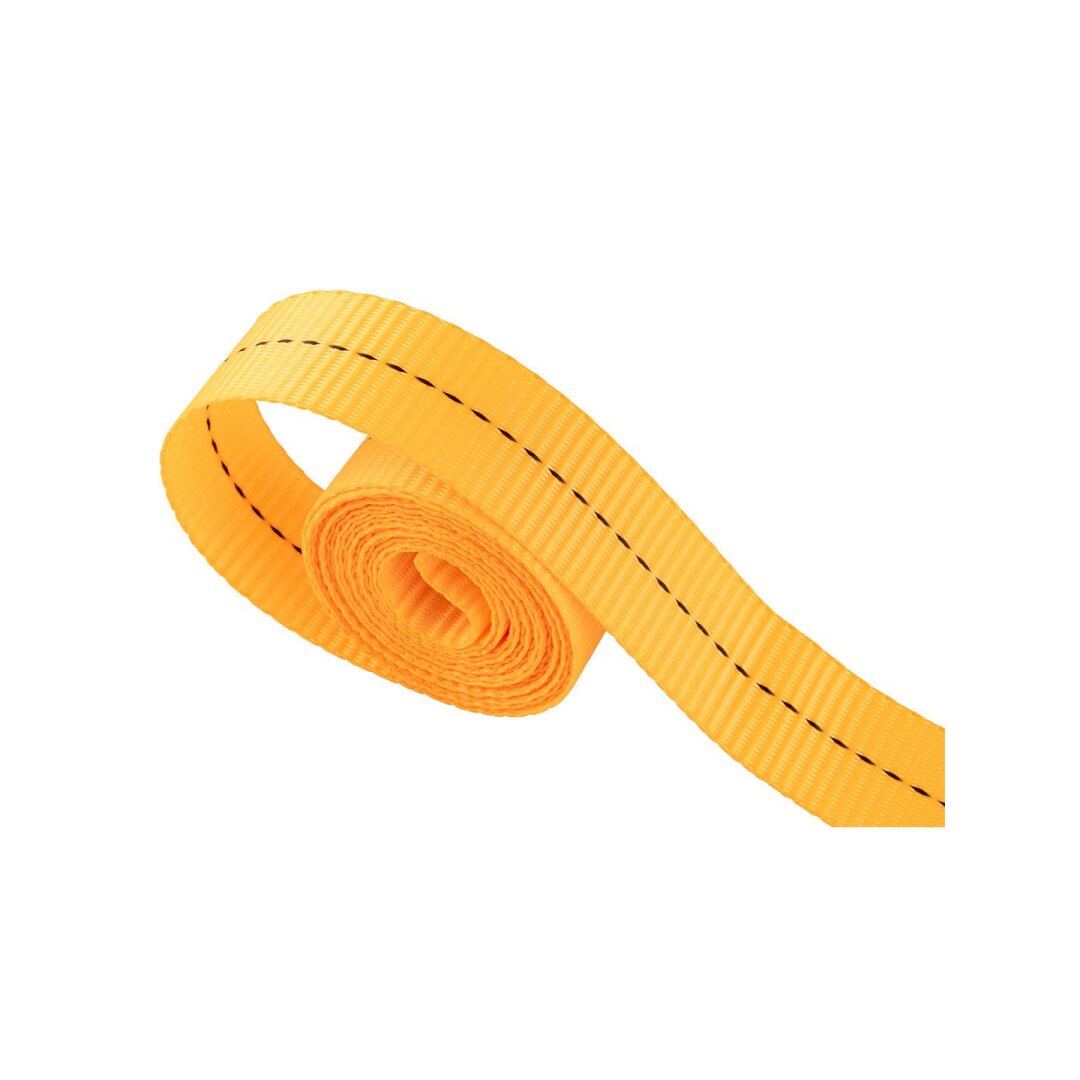 Diržas su kumštelio sagtimi 25 mm x 5 m 1 vnt 6