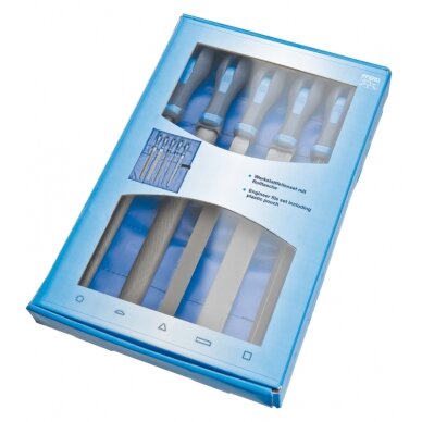 Dildžių rinkinys PFERD WF 541 WRU 250 H1 Dildžių rinkinys PFERD WF 541 WRU 250 H1