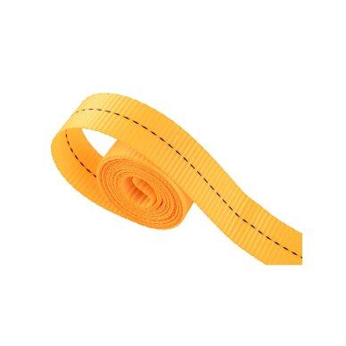 Diržas su kumštelio sagtimi 25 mm x 5 m 1 vnt 6