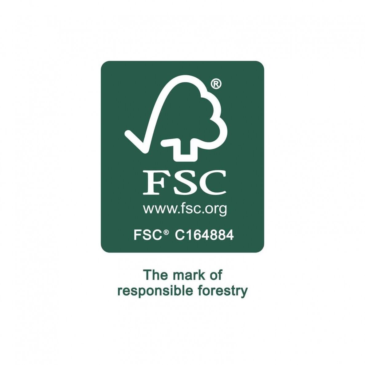 DOMINO buko medienos kaiščiai Festool D 14x75/104 BU (201499) 9