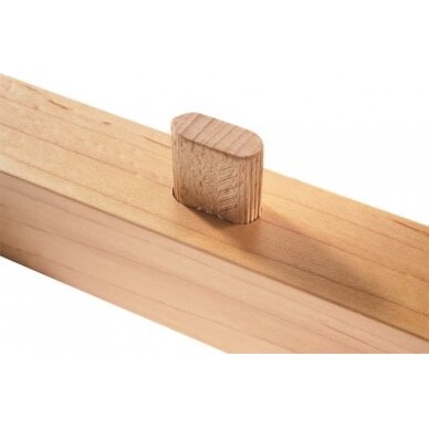 DOMINO buko medienos kaiščiai Festool D 5x30/300 BU (494938) 3
