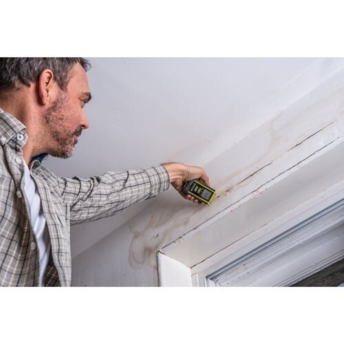 Drėgmės matuoklis - drėgnomatis Ryobi RBPINMM1 2 Drėgmės matuoklis - drėgnomatis Ryobi RBPINMM1 2