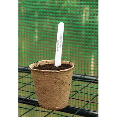 Durpių ankštys: 8 x 8 x 7,8 cm, 60 vnt 6 Durpių ankštys: 8 x 8 x 7,8 cm, 60 vnt 6