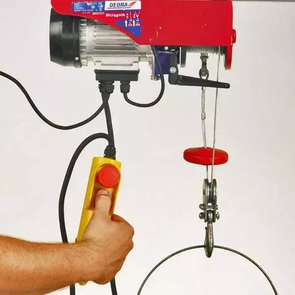 Elektrinis keltuvas DEDRA DED7911, 550W, 250kg/6m, 125kg/12 1