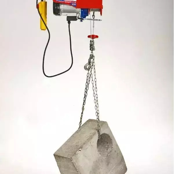 Elektrinis keltuvas DEDRA DED7911, 550W, 250kg/6m, 125kg/12 3