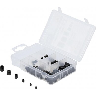 Fiksavimo varžtų asortimentas | 91 vnt. (88156) Fiksavimo varžtų asortimentas | 91 vnt. (88156)