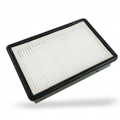 Filtras (oro išmetimo) Dedra DED66041 (skirta DED6604) Filtras (oro išmetimo) Dedra DED66041 (skirta DED6604)