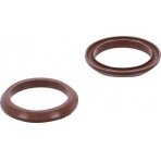 Fluoroelastomero sandarikliai BGS 4067 (4067-1)