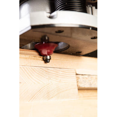 Frezavimo antgalis, paviršius apvalinamas, dekoratyvinis, HM, 41,3 x 18,3 mm, kotas 12 mm 4 Frezavimo antgalis, paviršius apvalinamas, dekoratyvinis, HM, 41,3 x 18,3 mm, kotas 12 mm 4