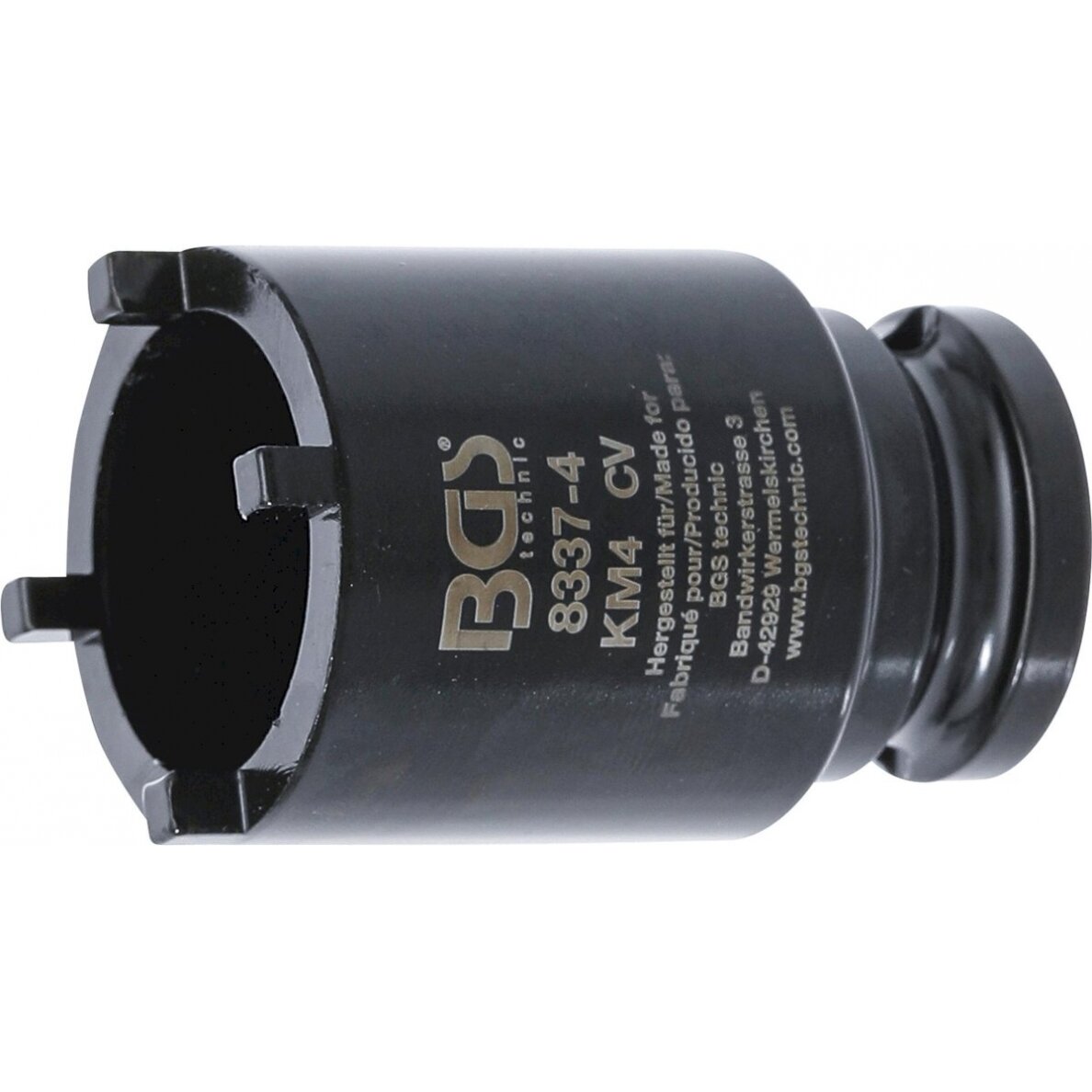 Galvutė su išoriniais dantukais | KM4 (8337-4)