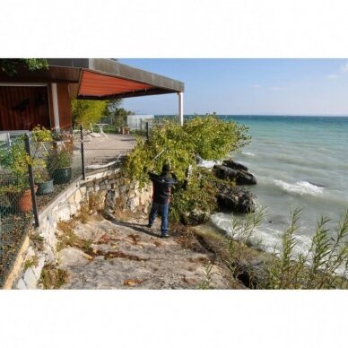 Genėjimo žirklės FELCO 231 2 Genėjimo žirklės FELCO 231 2