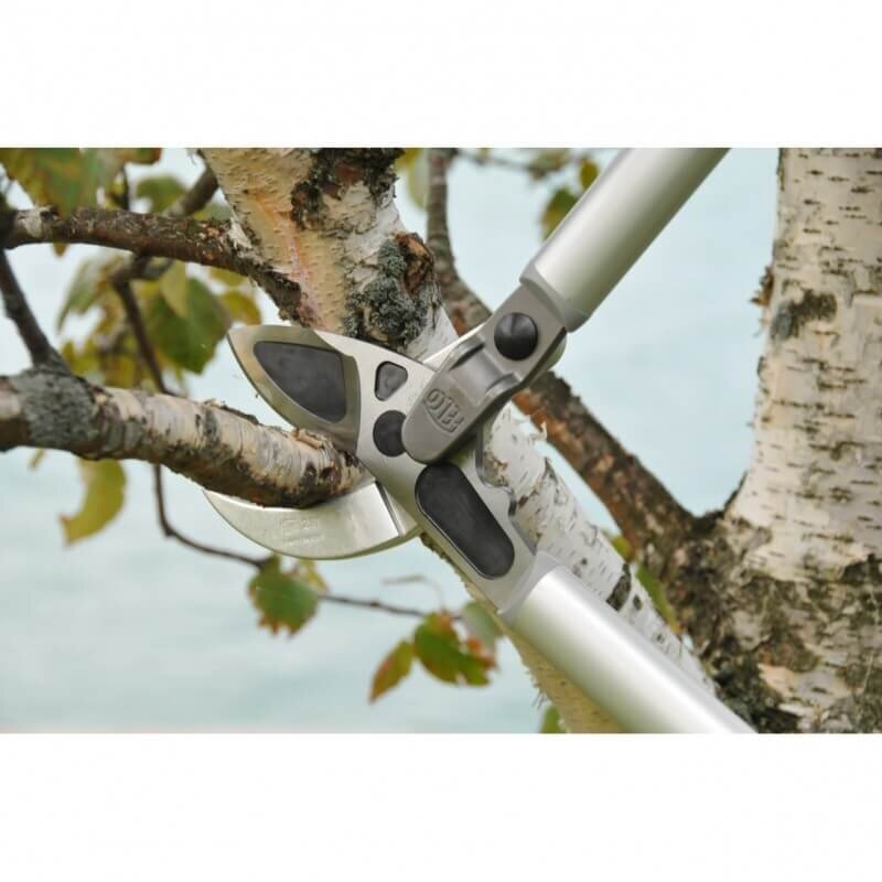 Genėjimo žirklės FELCO 231 1 Genėjimo žirklės FELCO 231 1